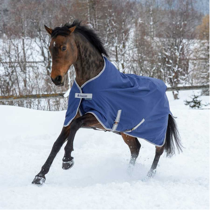 Derka zimowa Pony Freedom Turnout 150g Granatowa w grupie Derki dla koni / Derki padokowe / Derki zimowe przy Equinest (66300P-150-Ma_r)