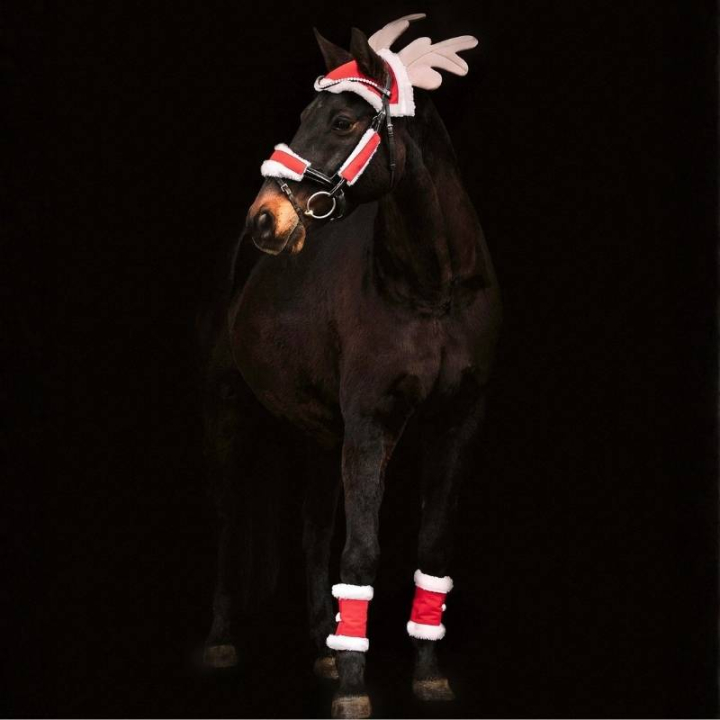 Christmas Set 6 części Czerwono/Biały w grupie Święta i karnawał przy Equinest (7464801REWH)