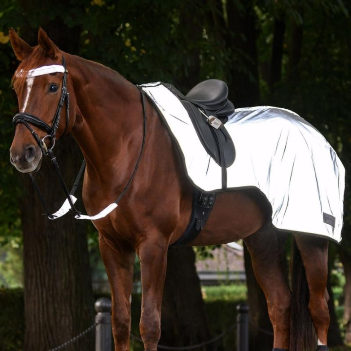 Odblaskowa derka treningowa Reflex Srebrna w grupie Sprzęt dla jeźdźca / Odblaski i refleksy przy Equinest (80010011SI_r)