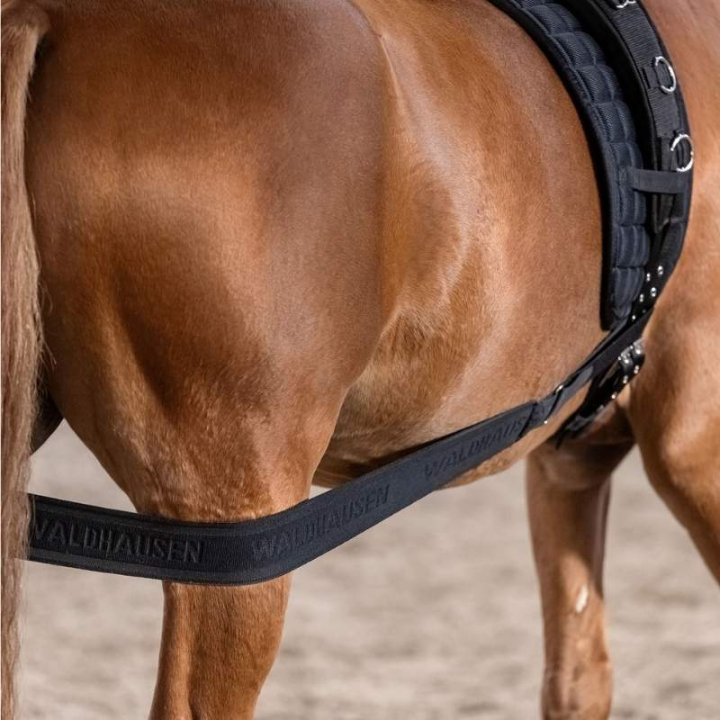Body Bandage Elastic CzarnyCob/Full w grupie Sprzęt dla konia / Lonżowanie i praca z ziemi przy Equinest (81053012BA-CF)
