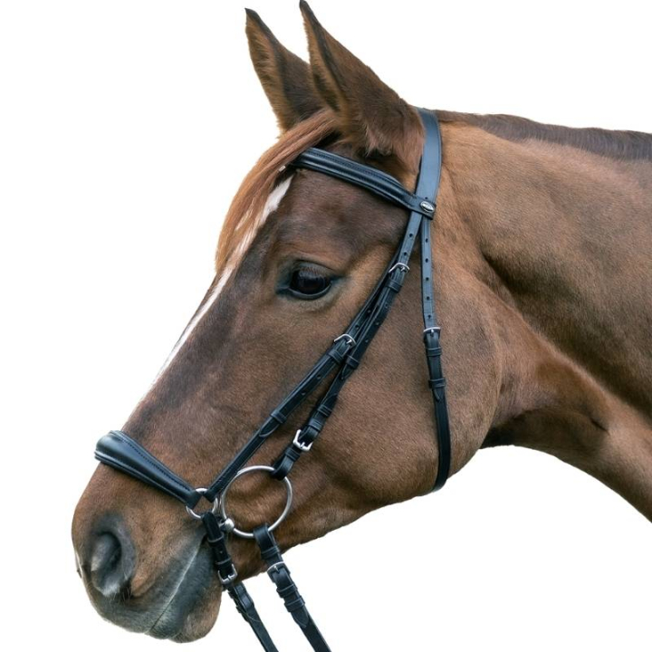 Ogłowie Hannover Czarne w grupie Sprzęt dla konia / Ogłowia i naczółki / Ogłowia przy Equinest (813801POBA_r)