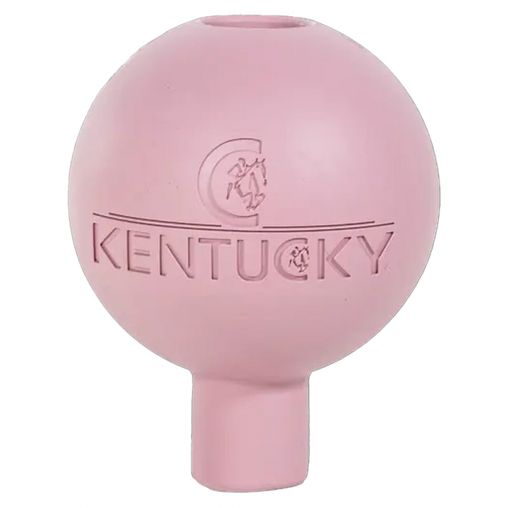 Kula ochronna do uwiązu Lead & Wall Protection Stary róż w grupie Stajnia i padok / Wyposażenie stajni / Inne wyposażenie stajni przy Equinest (8215401OPI)