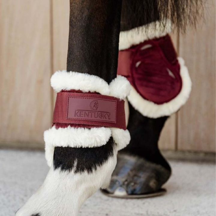 Ochraniacze skokowe tył Young Vegan Sheepskin Velvet Bordowe w grupie Sprzęt dla konia / Ochrona nóg / Ochraniacze skokowe tył przy Equinest (88210WN_r)