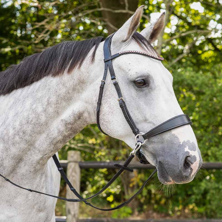 Ogłowie bezwędzidłowe Sunna Czarne w grupie Sprzęt dla konia / Ogłowia i naczółki / Hackamore i ogłowia bezwędzidłowe przy Equinest (9074ZW3BA_r)