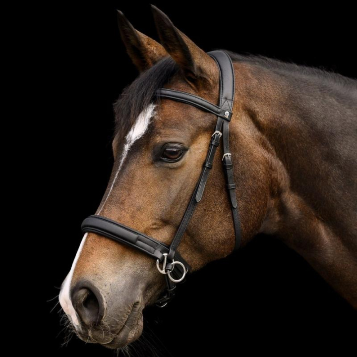 Ogłowie bezwędzidłowe Supersoft X-Line Czarne w grupie Sprzęt dla konia / Ogłowia i naczółki / Hackamore i ogłowia bezwędzidłowe przy Equinest (9572301PBA_r)
