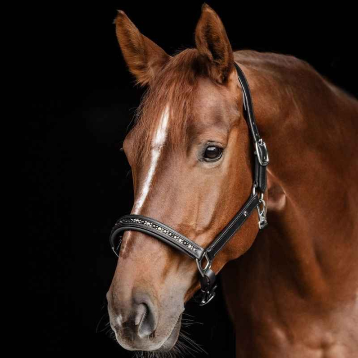 Kantar skórzany Crystal X-Line Czarny w grupie Sprzęt dla konia / Kantary / Kantary skórzane przy Equinest (9580901PBABR_r)
