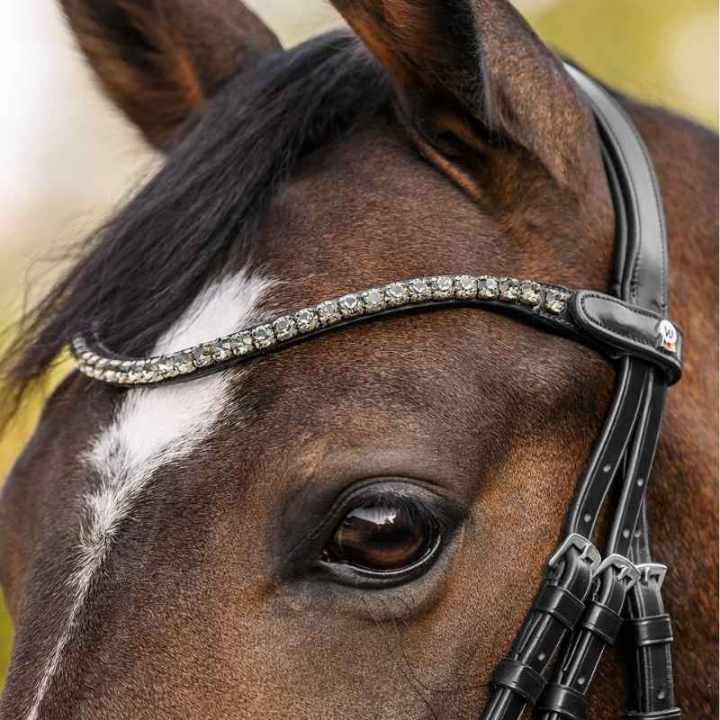 Naczółek Shine X-Line Czarny/Srebrny w grupie Sprzęt dla konia / Ogłowia i naczółki / Naczółki przy Equinest (9589011VBASI_r)