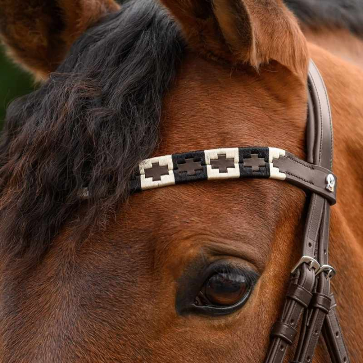 Naczółek Polo X-Line Brązowy/Beżowy w grupie Sprzęt dla konia / Ogłowia i naczółki / Naczółki przy Equinest (9589401VBRBR_r)