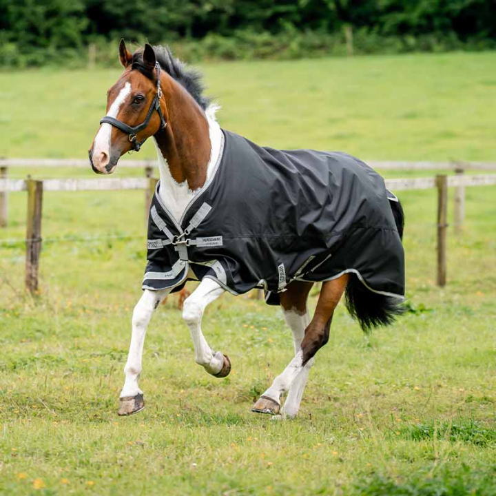 Derka padokowa Amigo 1200D 100g Czarno/Szara w grupie Derki dla koni / Derki padokowe / Derki przejściowe przy Equinest (AAOAL2KJIBAGR_r)