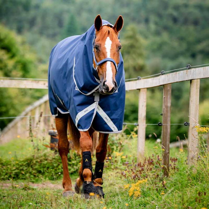 Derka zimowa z kapturem Amigo Bravo 12 Plus Bundle (50g+100g+200g) V-Front Granatowo/Szara w grupie Derki dla koni / Podpinki do derek przy Equinest (AARDM2NA)