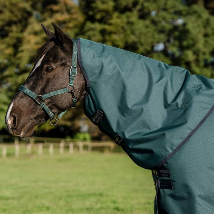 Kaptur Amigo Ripstop 900D 150g Zielono/Granatowy w grupie Derki dla koni / Kaptury przy Equinest (AARN13GBIGNMASI_r)