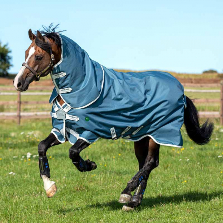 Derka zimowa AmEco Bravo 12 Plus Turnout 100g Turkusowa w grupie Derki dla koni / Derki padokowe / Derki zimowe przy Equinest (AAROJ2TU)