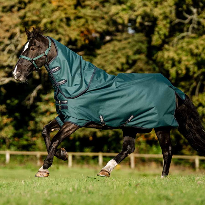Derka przeciwdeszczowa Amigo Ripstop 900D Plus 0g Zielono/Granatowo/Srebrna w grupie Derki dla koni / Derki padokowe / Derki przeciwdeszczowe przy Equinest (AARPG0GBIGNMASI_r)