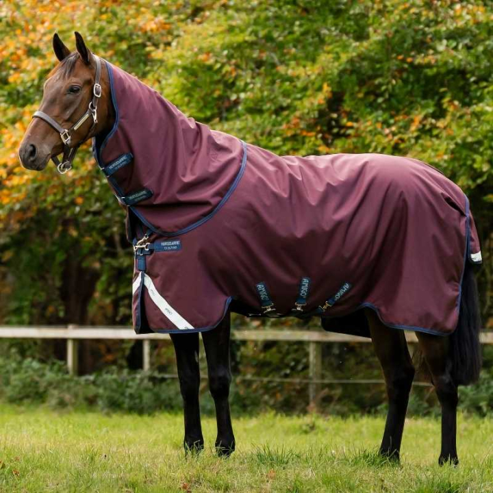 Derka padokowa Amigo Plus 1200D 100g Bordowo/Granatowa w grupie Derki dla koni / Derki padokowe / Derki przejściowe przy Equinest (AARPLFQBJRENAGR_r)