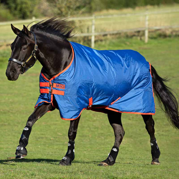 Derka zimowa Mio 200g Granatowa w grupie Derki dla koni / Derki padokowe / Derki zimowe przy Equinest (AASA42Bl_r)