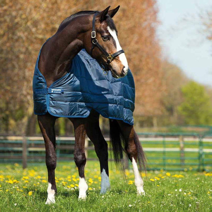 Podpinka do derki 300g Granatowa w grupie Derki dla koni / Derki stajenne przy Equinest (ABAD63Ma_r)