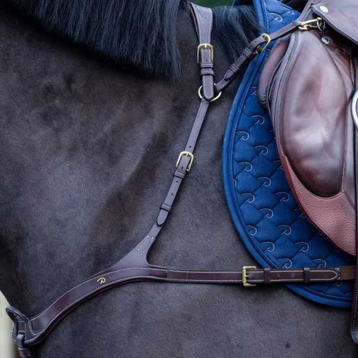 Napierśnik Anatomical Dyon Collection Brązowy w grupie Sprzęt dla konia / Wytoki i napierśniki / Napierśniki przy Equinest (DY06BBRCBR_r)