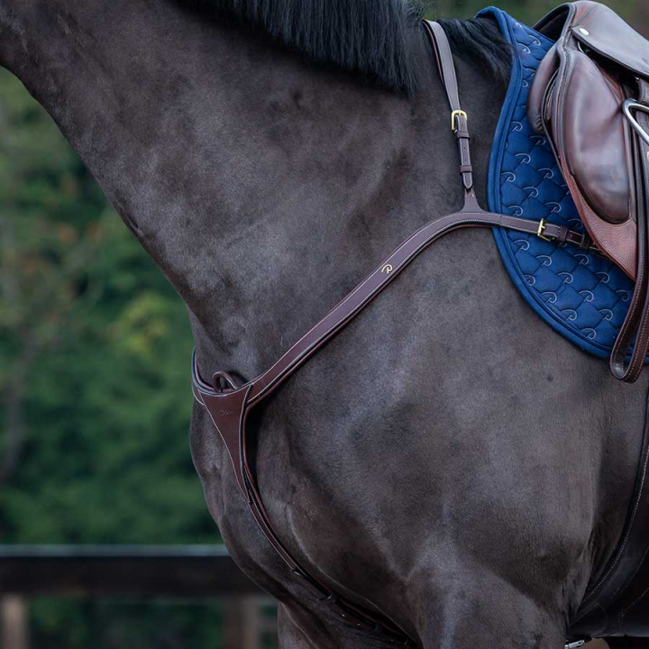 Napierśnik z długim mostkiem DC Brązowy w grupie Sprzęt dla konia / Wytoki i napierśniki / Napierśniki przy Equinest (DY06CBr_r)