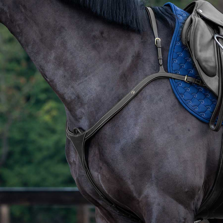 Napierśnik z długim mostkiem DC Czarny w grupie Sprzęt dla konia / Wytoki i napierśniki / Napierśniki przy Equinest (DY06CSv_r)