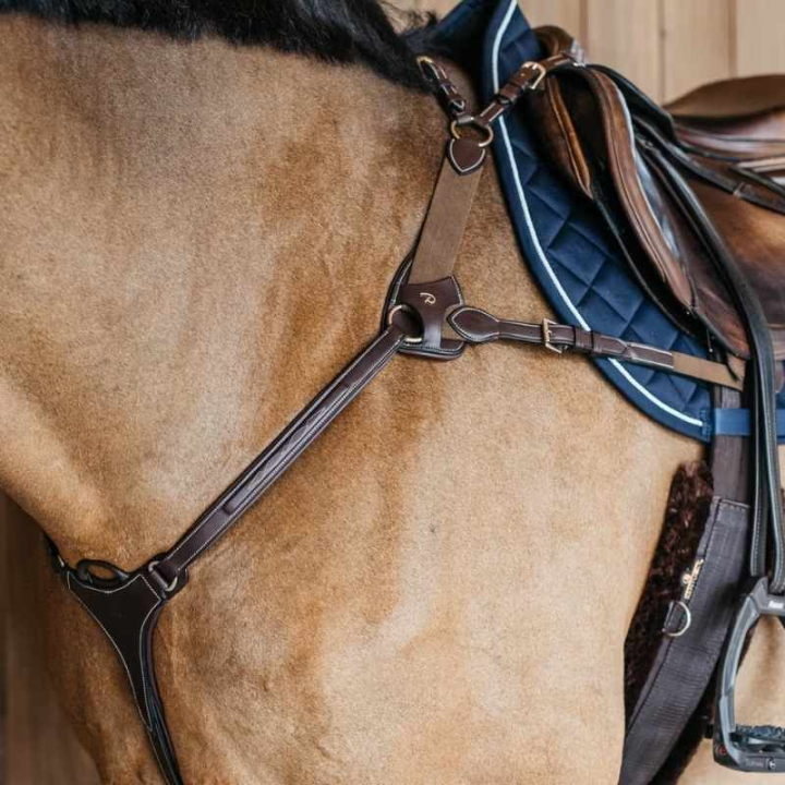 Napierśnik 5-punktowy Elastic Dyon Collection Brązowy w grupie Sprzęt dla konia / Wytoki i napierśniki / Napierśniki przy Equinest (DY06FBRCBR_r)