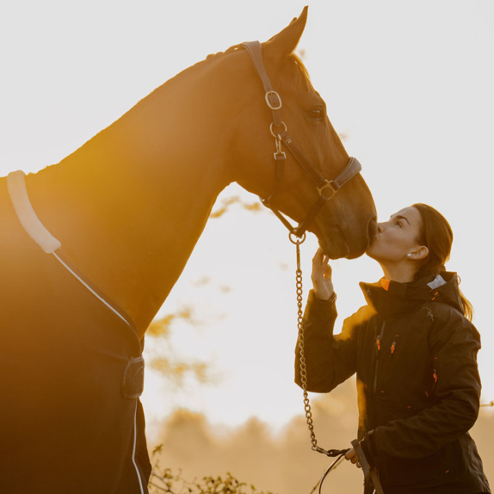 Kantar Grooming Artificial Leather Anatomic DC Brązowy w grupie Sprzęt dla konia / Kantary / Kantary skórzane przy Equinest (DY09ABRCBR_r)