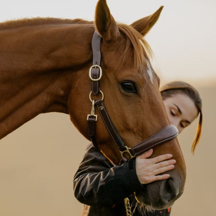 Kantar Grooming Artificial Leather Anatomic DC Brązowy w grupie Sprzęt dla konia / Kantary / Kantary skórzane przy Equinest (DY09ABRCBR_r)