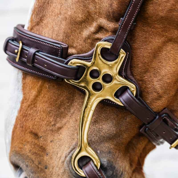 Hackamore Dyon Collection Brązowe w grupie Sprzęt dla konia / Wędzidła / Hackamore przy Equinest (DY1400305BR_r)