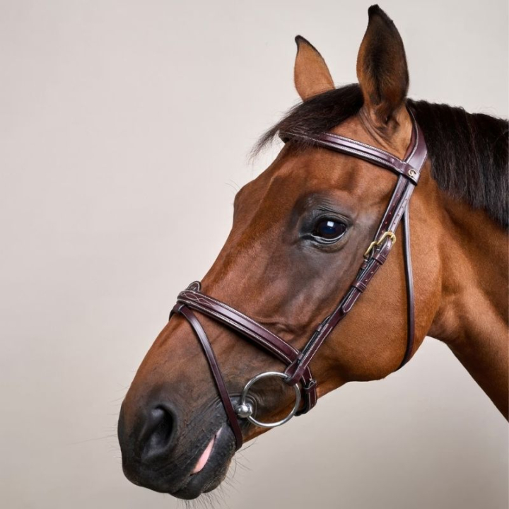 Ogłowie z podniesionym nachrapnikiem kombinowanym DC Brązowe w grupie Sprzęt dla konia / Ogłowia i naczółki / Ogłowia przy Equinest (DYAAAABr_r)