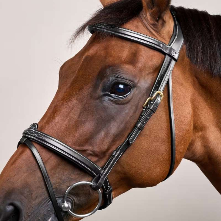 Ogłowie kombinowane Dyon Collection Czarne w grupie Sprzęt dla konia / Ogłowia i naczółki / Ogłowia przy Equinest (DYAAAASv_r)