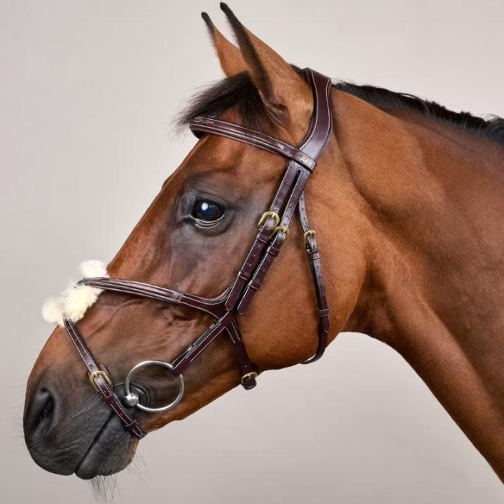 Ogłowie Meksykańskie Dyon Collection Brązowe w grupie Sprzęt dla konia / Ogłowia i naczółki / Ogłowia przy Equinest (DYAAACBRCBR_r)