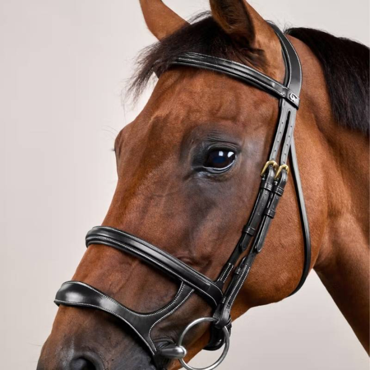 Ogłowie z podwójnym nachrapnikiem Dyon Collection Czarne w grupie Sprzęt dla konia / Ogłowia i naczółki / Ogłowia przy Equinest (DYAAAHBLCBA_r)