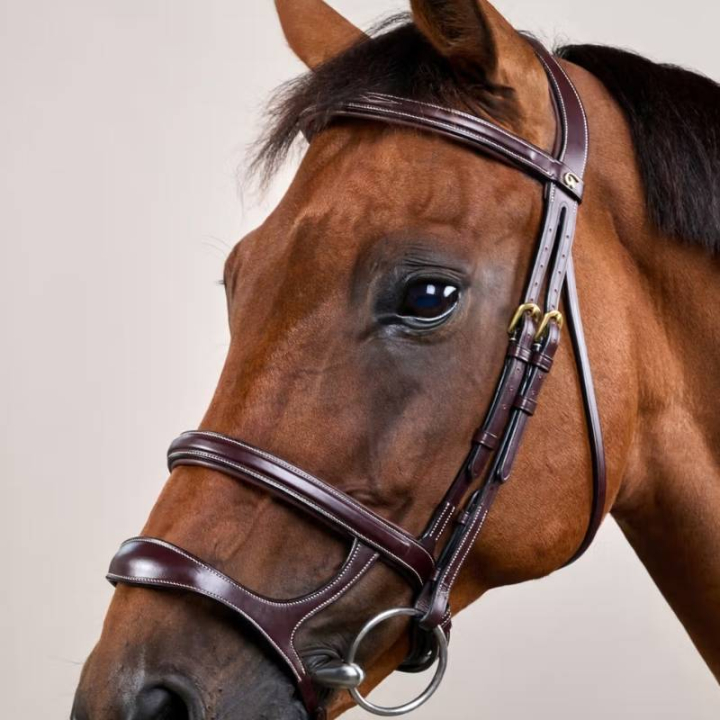 Ogłowie z podwójnym nachrapnikiem Dyon Collection Brązowe w grupie Sprzęt dla konia / Ogłowia i naczółki / Ogłowia przy Equinest (DYAAAHBRCBR_r)