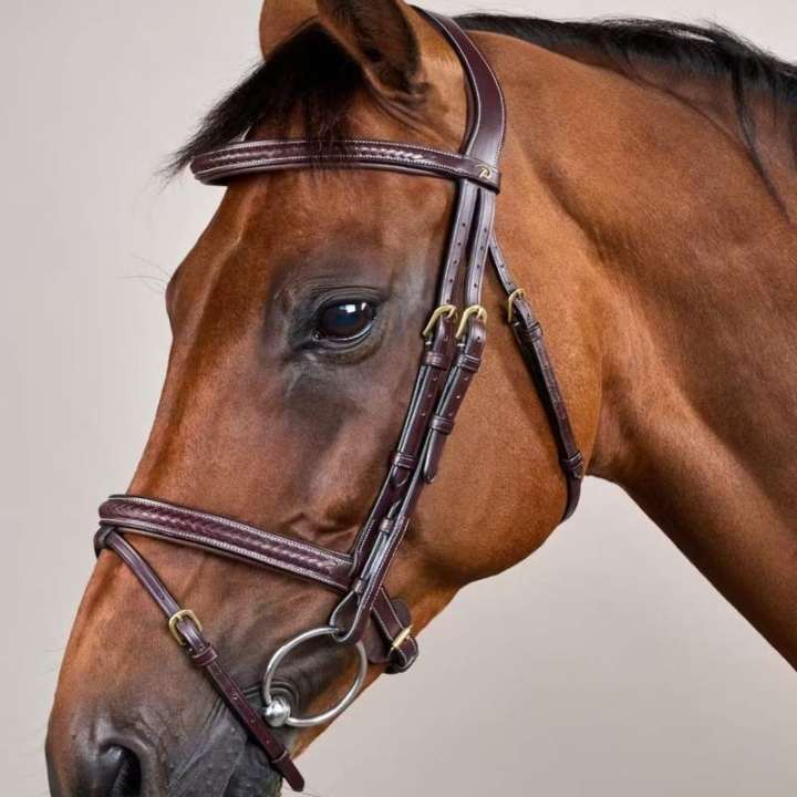 Ogłowie kombinowane Plaited Dyon Collection Brązowe w grupie Sprzęt dla konia / Ogłowia i naczółki / Ogłowia przy Equinest (DYAOAKBRCBR_r)