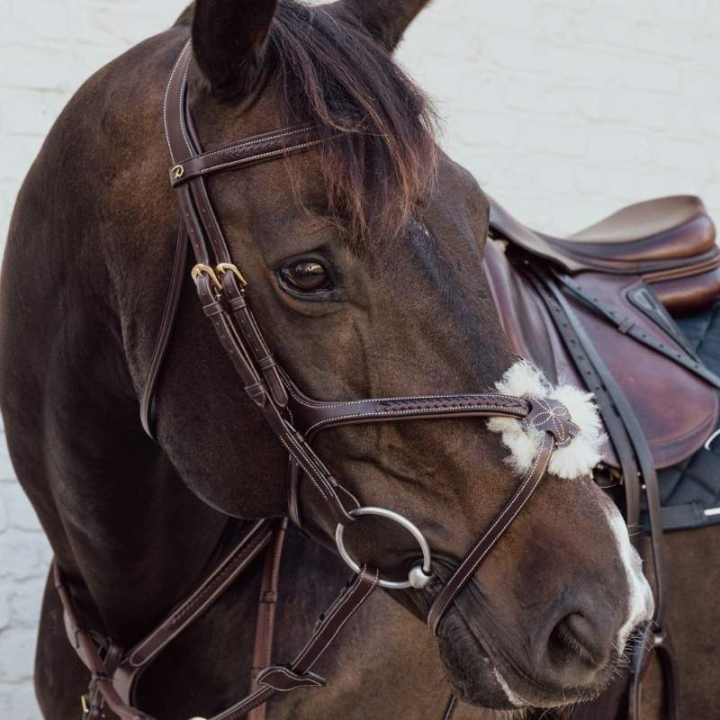 Ogłowie Meksykańskie Plaited Dyon Collection Brązowe w grupie Sprzęt dla konia / Ogłowia i naczółki / Ogłowia przy Equinest (DYAOAVBRCBR_r)