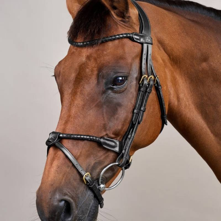 Ogłowie kombinowane Braided Dyon Collection Czarne w grupie Sprzęt dla konia / Ogłowia i naczółki / Ogłowia przy Equinest (DYARAYBLCBA_r)
