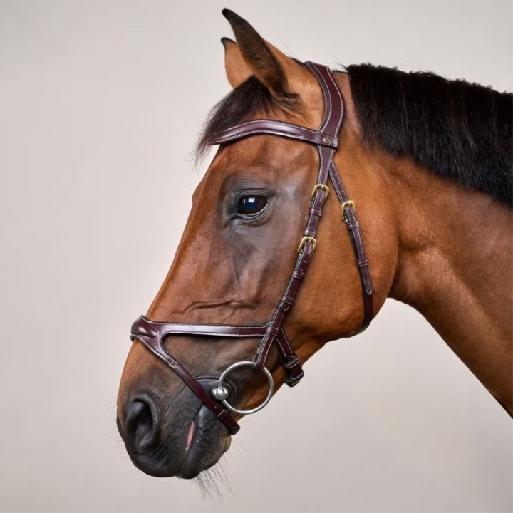 Ogłowie Anatomiczne X-Fit DC Brązowe w grupie Sprzęt dla konia / Ogłowia i naczółki / Ogłowia przy Equinest (DYCCCDBr_r)