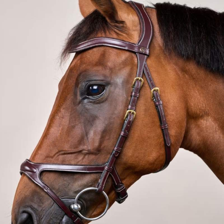 Ogłowie Anatomiczne X-Fit Dyon Collection Brązowe w grupie Sprzęt dla konia / Ogłowia i naczółki / Ogłowia przy Equinest (DYCCCDBr_r)