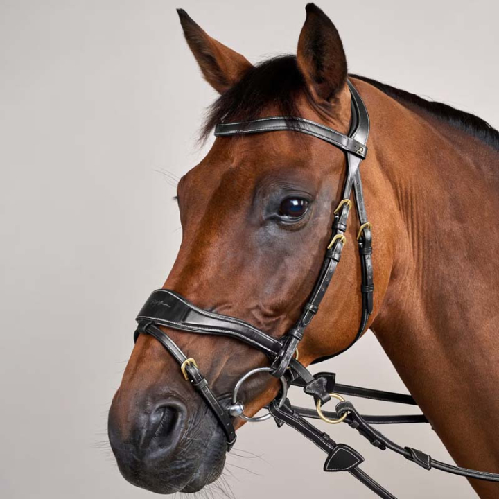 Ogłowie D Motion Dyon Collection Czarne w grupie Sprzęt dla konia / Ogłowia i naczółki / Ogłowia przy Equinest (DYCCCWBLCBA_r)