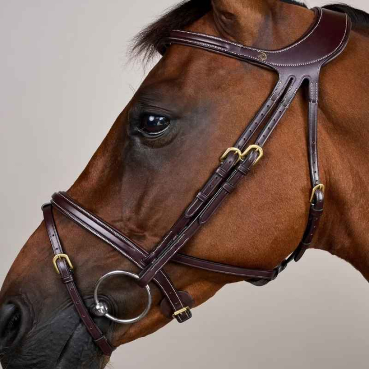 Ogłowie Difference Dyon Collection Brązowe w grupie Sprzęt dla konia / Ogłowia i naczółki / Ogłowia przy Equinest (DYGXAUBRCBR_r)