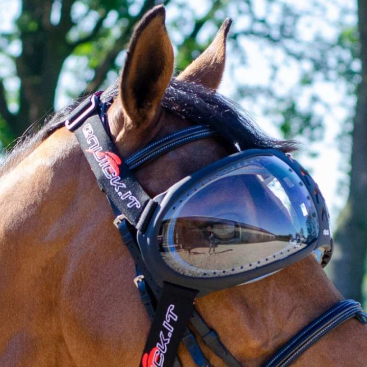 eVysor Transparent w grupie Sprzęt dla konia / Akcesoria dla konia przy Equinest (EVYSOR1)
