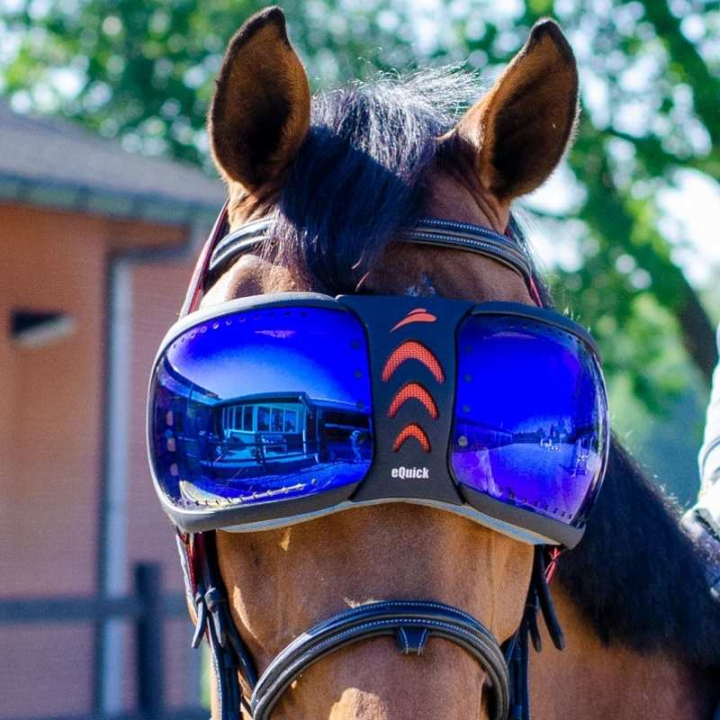 eVysor Mirrored Blue w grupie Sprzęt dla konia / Akcesoria dla konia przy Equinest (EVYSOR3BL)