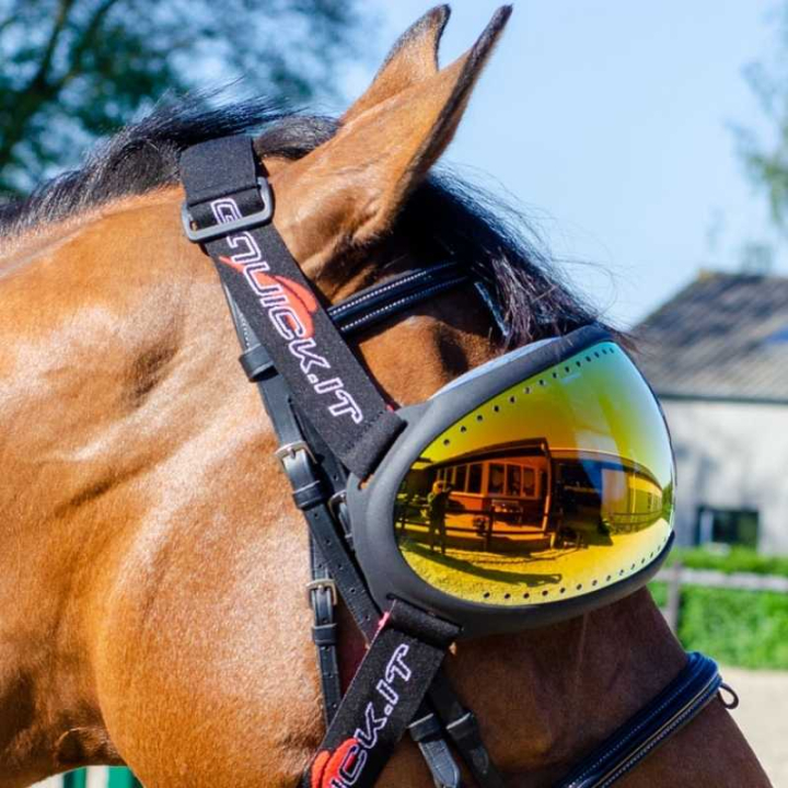 eVysor Mirrored Orange w grupie Sprzęt dla konia / Akcesoria dla konia przy Equinest (EVYSOR4OR)