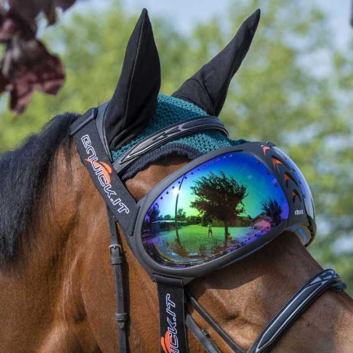 eVysor Mirrored Green  w grupie Sprzęt dla konia / Akcesoria dla konia przy Equinest (EVYSOR5GN)