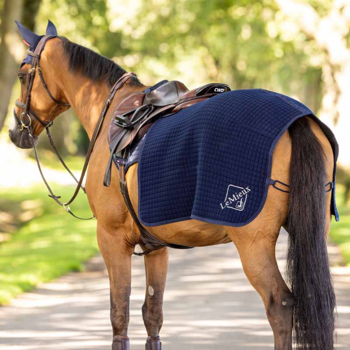 Derka lędźwiowa Clima-Tek Quarter Granatowa w grupie Derki dla koni / Derki treningowe przy Equinest (IT04514003NA_r)