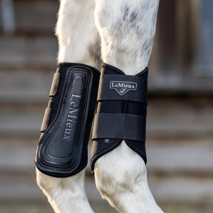 Ochraniacze treningowe Grafter Czarne w grupie Sprzęt dla konia / Ochrona nóg / Ochraniacze ujeżdżeniowe i treningowe przy Equinest (IT04916003BABA_r)