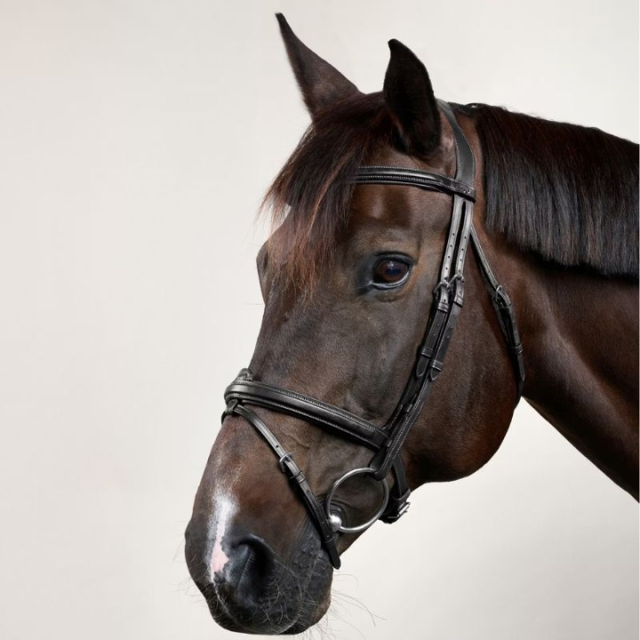 Ogłowie z podniesionym nachrapnikiem kombinowanym NE Czarne w grupie Sprzęt dla konia / Ogłowia i naczółki / Ogłowia przy Equinest (NEAAAASv_r)