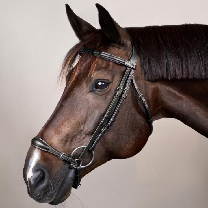 Ogłowie Hanowerskie New English Collection Czarne w grupie Sprzęt dla konia / Ogłowia i naczółki / Ogłowia ujeżdżeniowe przy Equinest (NEAAAEBLCBA_r)