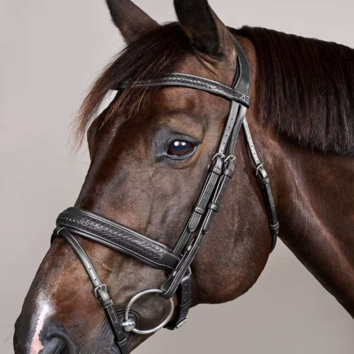 Ogłowie Plaited Pull Back New English Collection Czarne w grupie Sprzęt dla konia / Ogłowia i naczółki / Ogłowia przy Equinest (NEAJAZBLCBA_r)