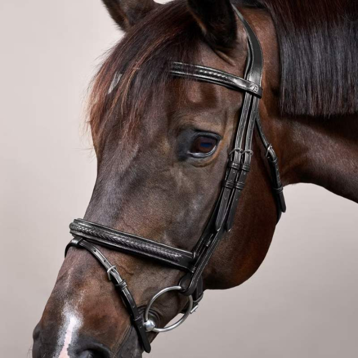 Ogłowie kombinowane Plaited New English Collection Czarne w grupie Sprzęt dla konia / Ogłowia i naczółki / Ogłowia przy Equinest (NEAOAKBLCBA_r)