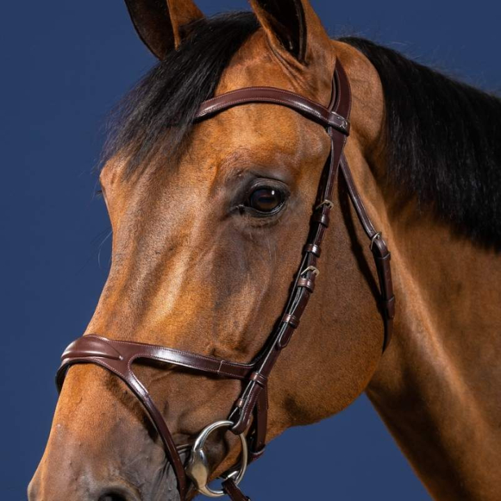 Ogłowie anatomiczne X-Fit New English Collection Brązowe w grupie Sprzęt dla konia / Ogłowia i naczółki / Ogłowia przy Equinest (NECCCDBr_r)